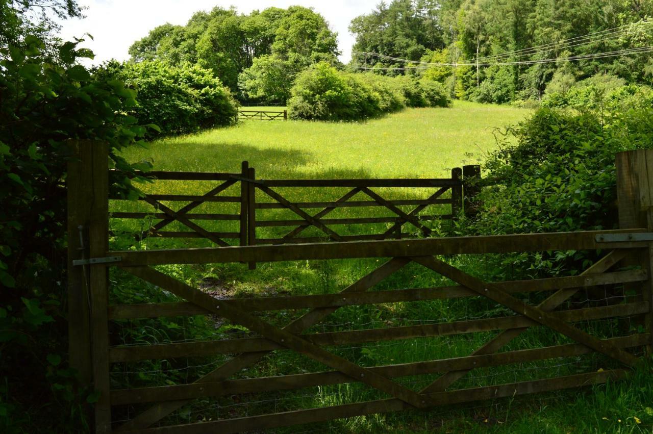 Ironbridge Lodge エクステリア 写真